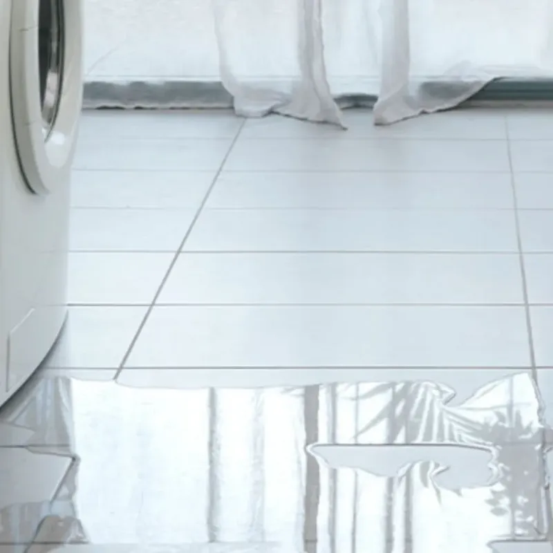 Appliance Leak Cleanup in Tedder, FL