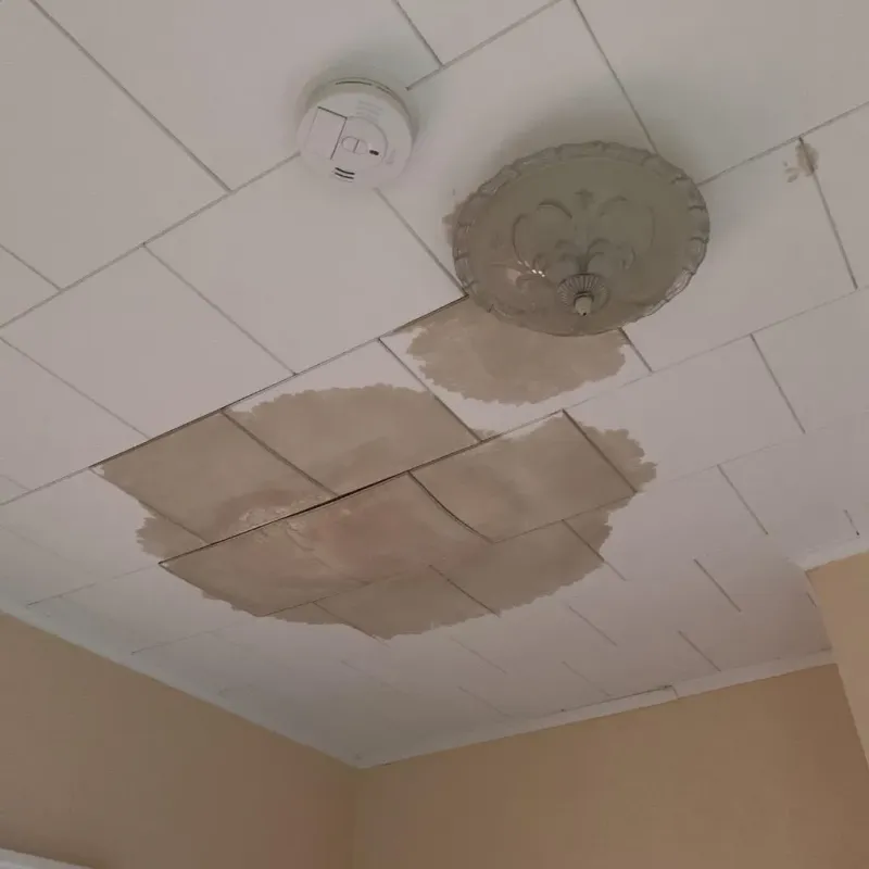 Ceiling Water Damage Repair in Tedder, FL