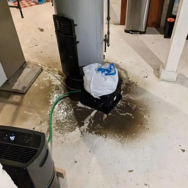 Sewage Backup Cleanup Service in Tedder, FL